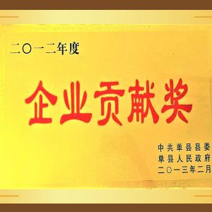 企业贡献奖
